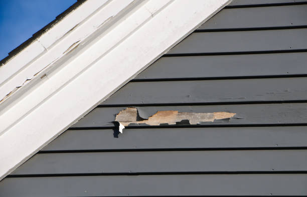 Professional Siding Services in Lucas Valley Marinwood, CA